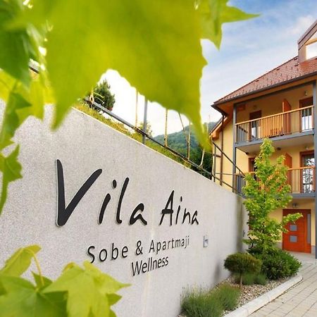 Villa Aina Boutique Hotel Laško Zewnętrze zdjęcie