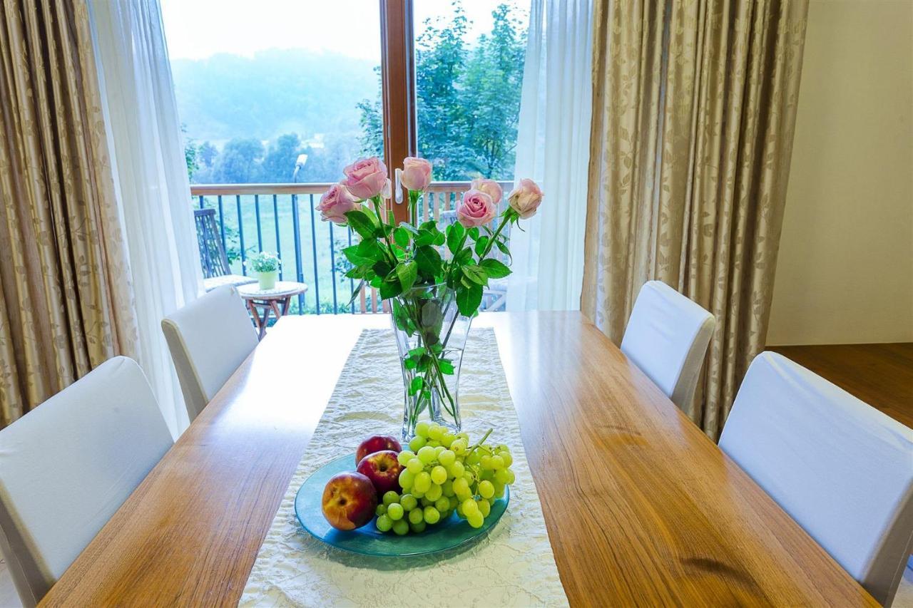 Villa Aina Boutique Hotel Laško Zewnętrze zdjęcie