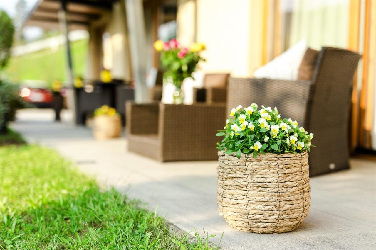 Villa Aina Boutique Hotel Laško Zewnętrze zdjęcie